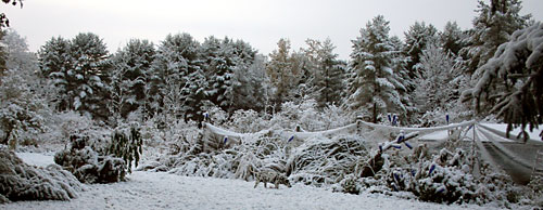 winter image