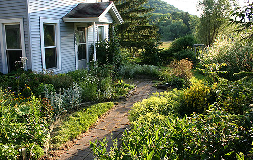 front garden