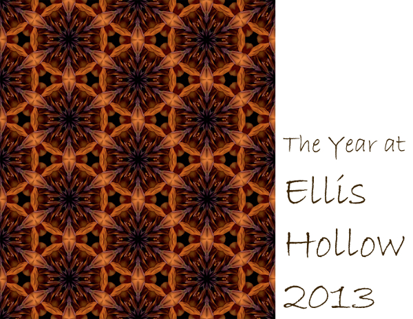 2013 Ellis Hollow calendar