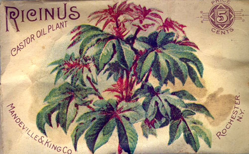 old seed packet