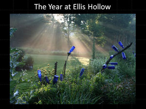 the year at ellis hollow