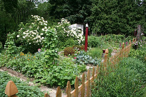 Marcia\'s garden