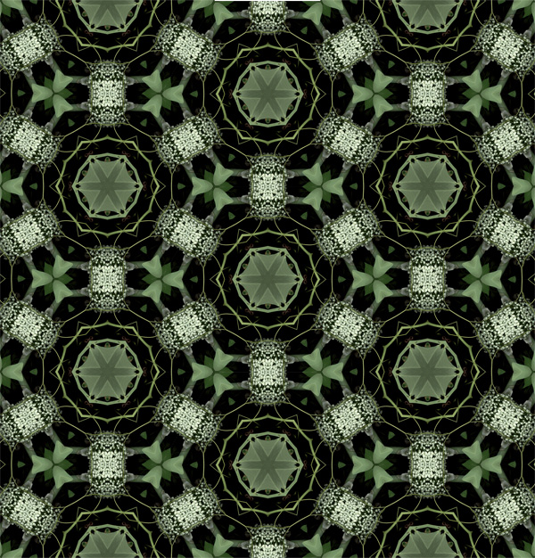 twining kaleidoscope