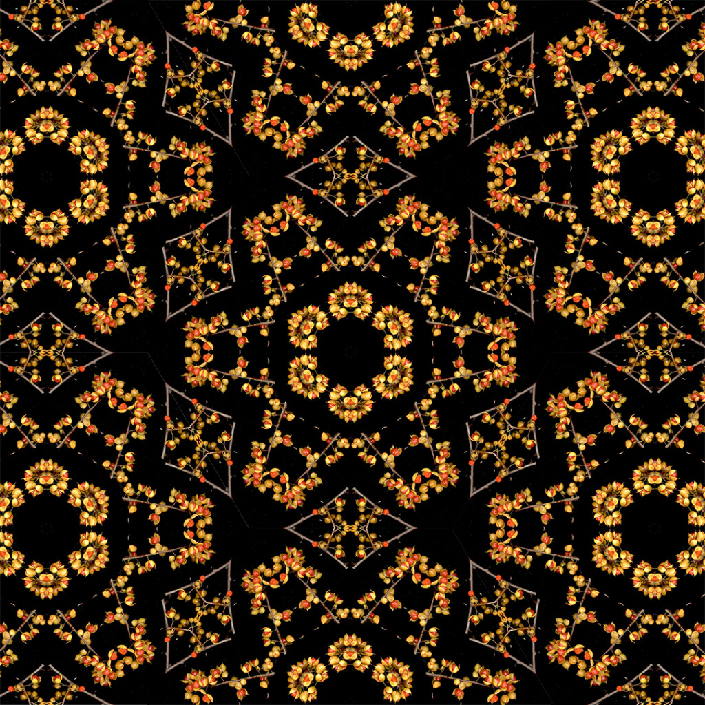 Bittersweet fruit tessellation from kaleidoscope hexagon (December 2020).