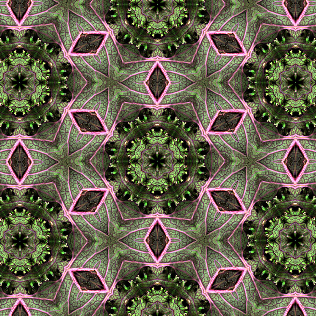 Kale tessellation from kaleidoscope hexagon (December 2020).