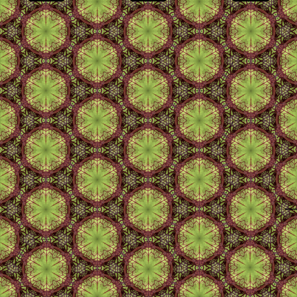 Pitcher plant tessellation from kaleidoscope hexagon (December 2020).