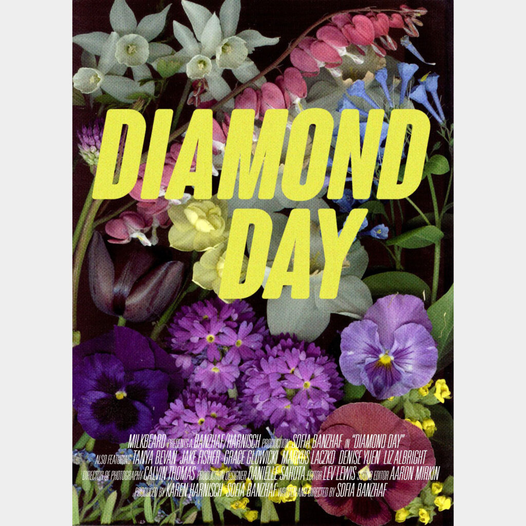 diamond day poster