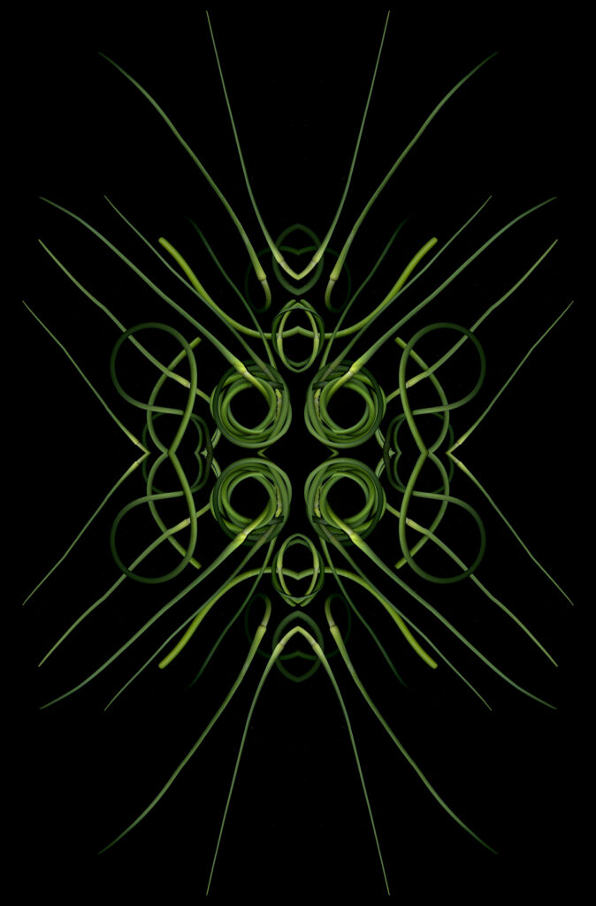 garlic scapes