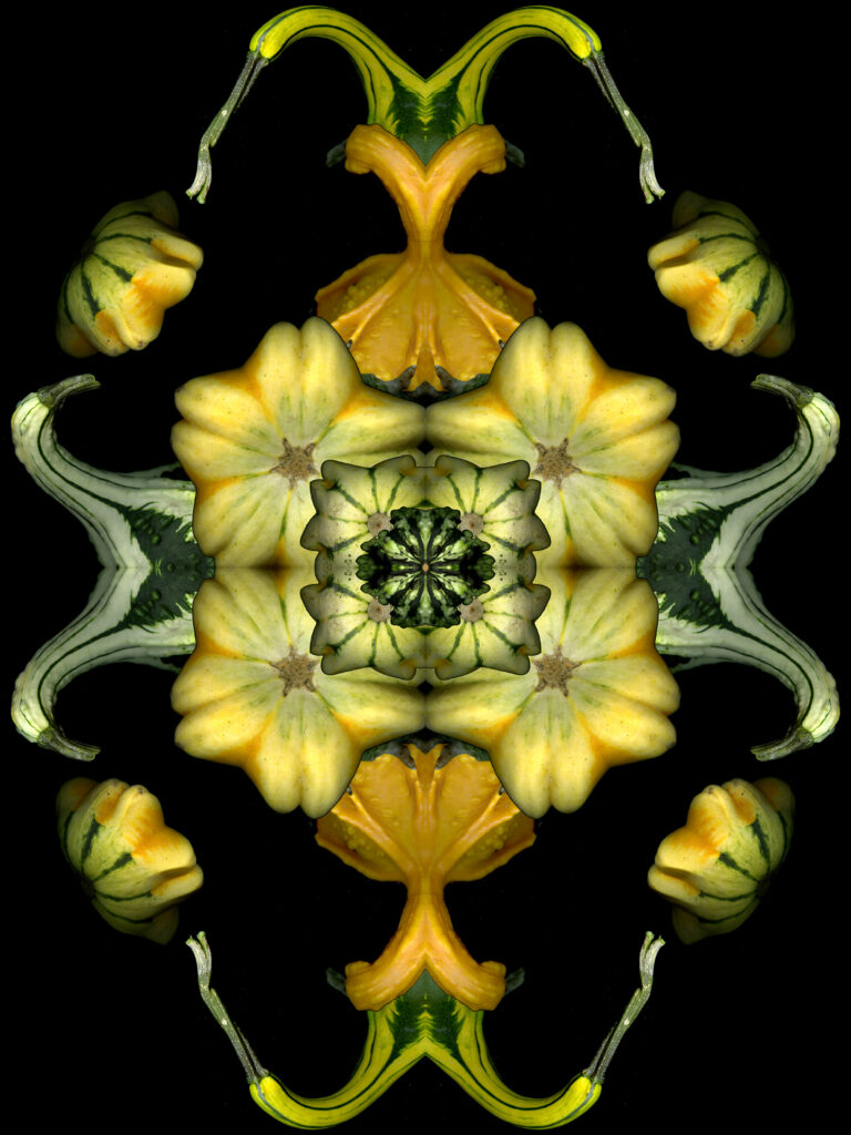 decorative gourds