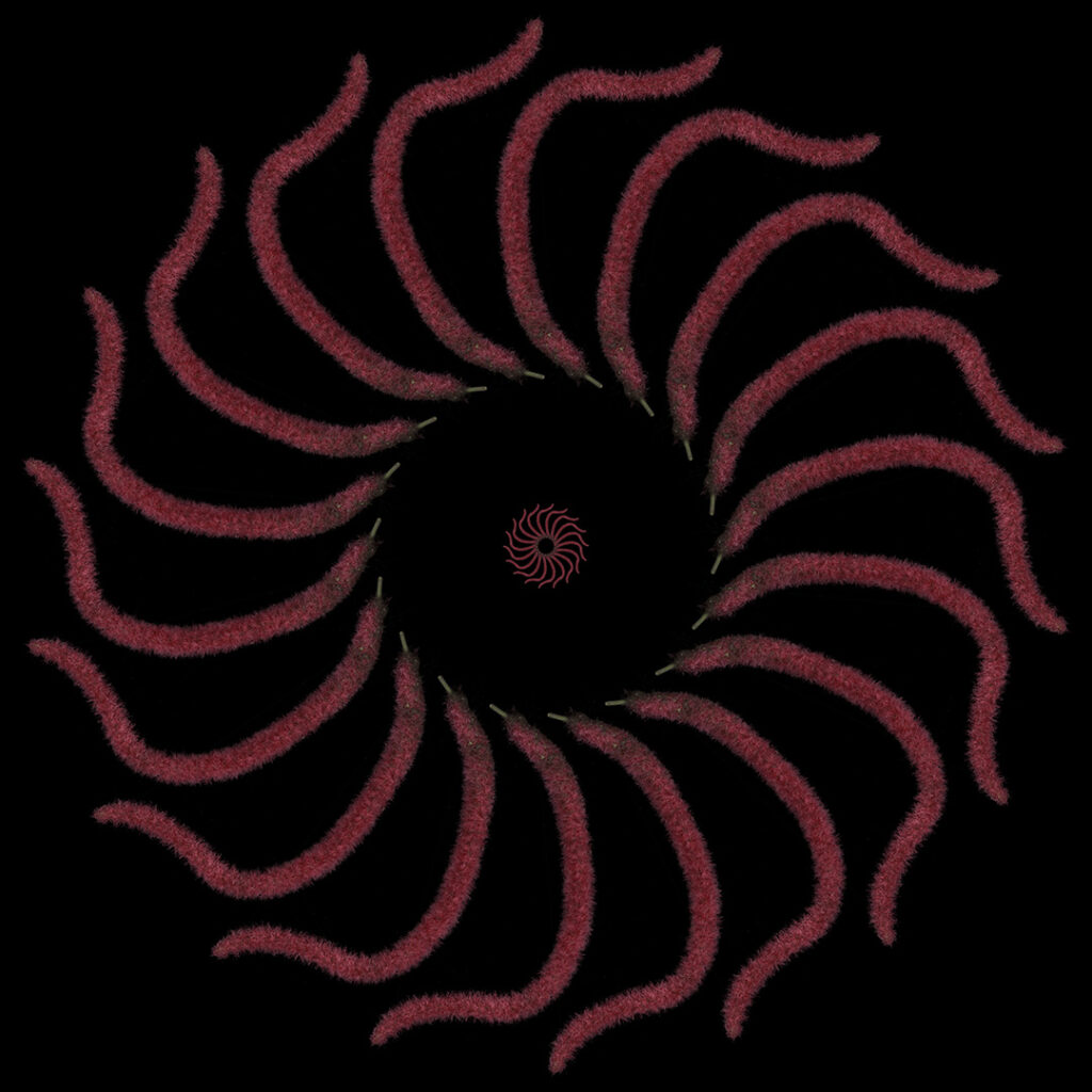acalpha
