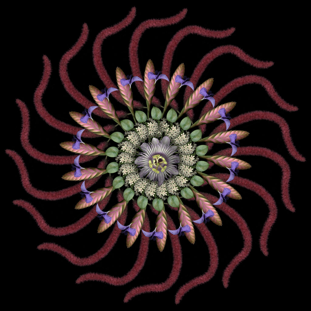 mandala