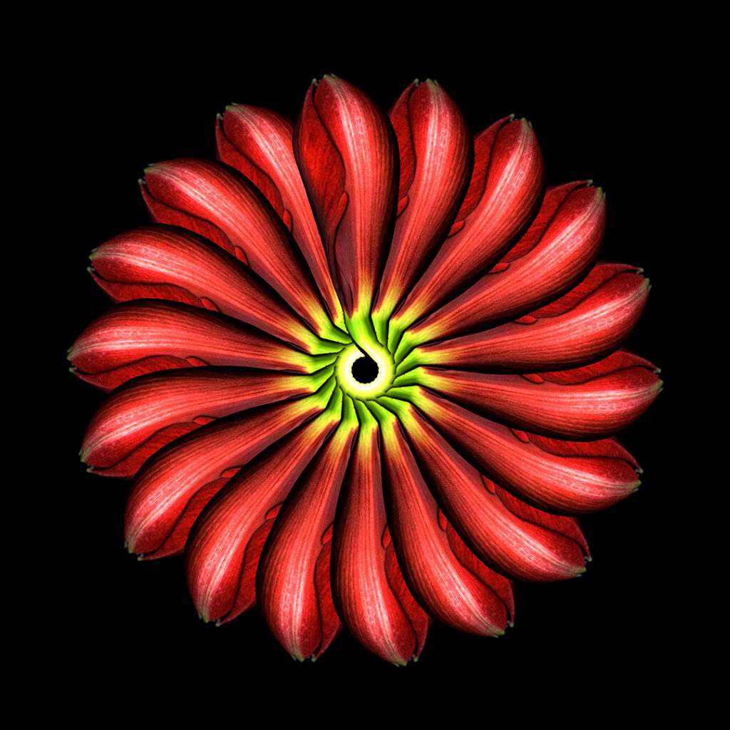 buds