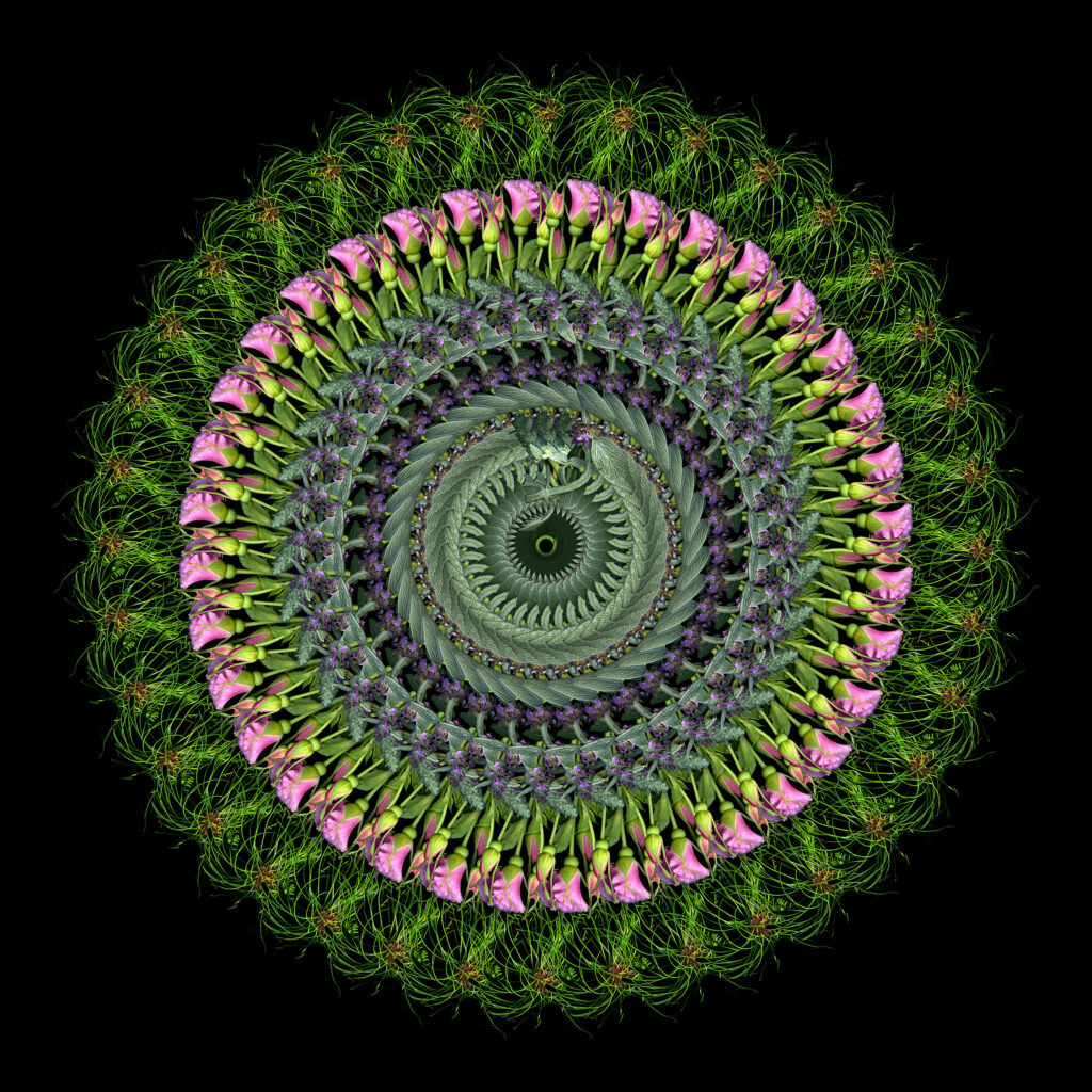 combined mandala