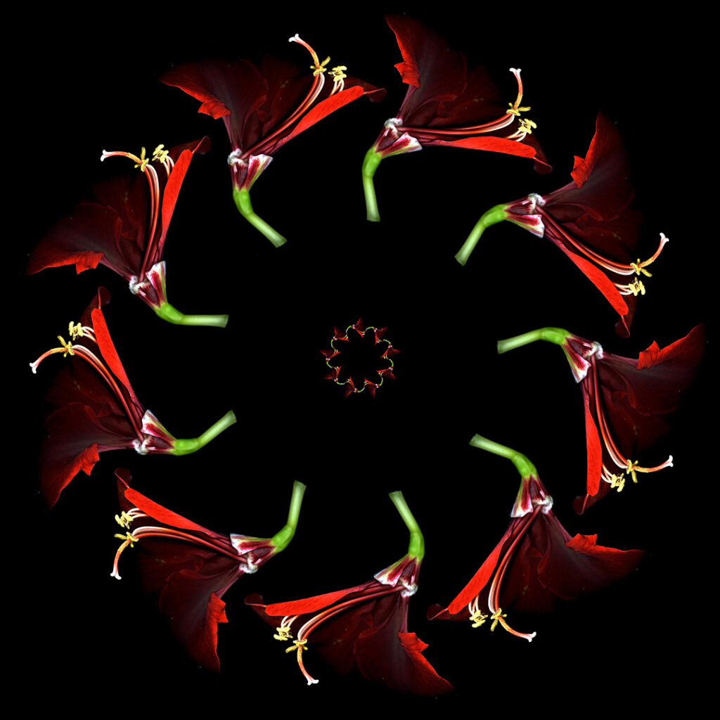 flower parts