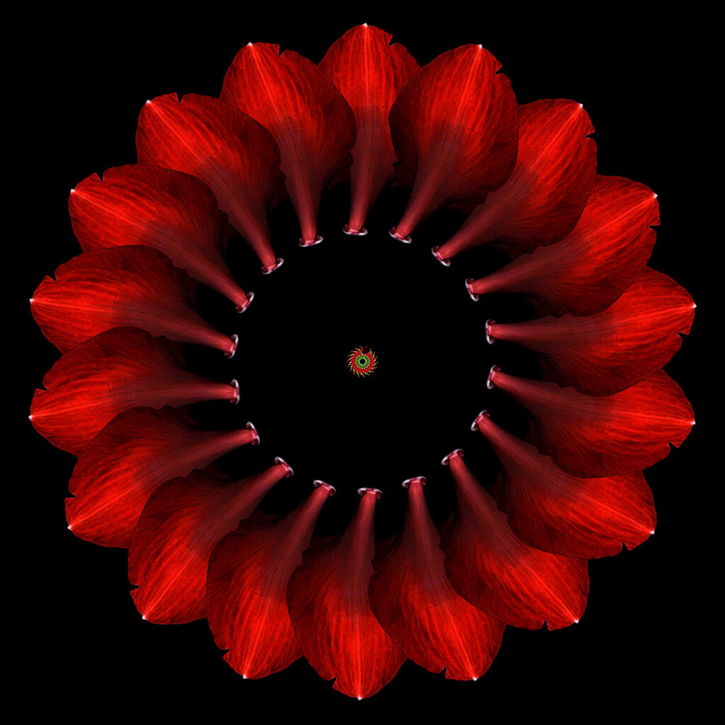 petals