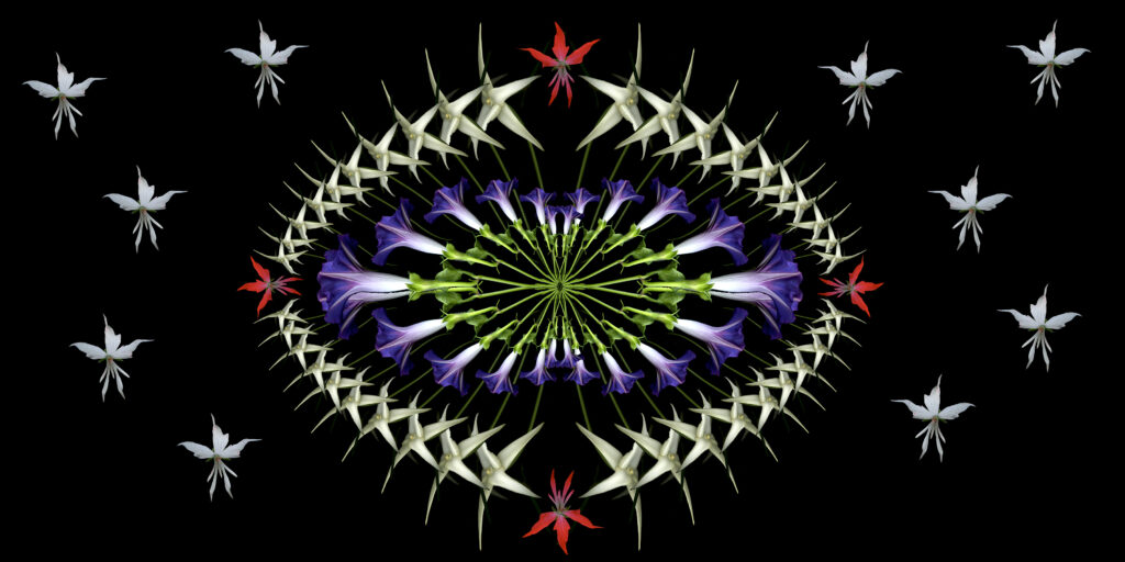 Solstice doodle