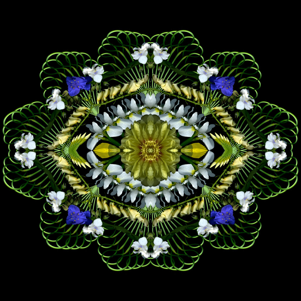 fathers day four square