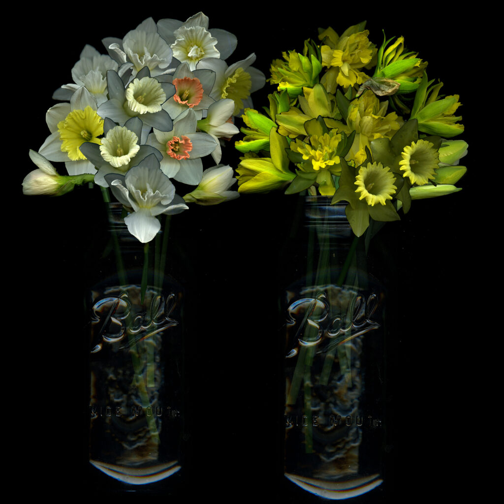 daff bouquets